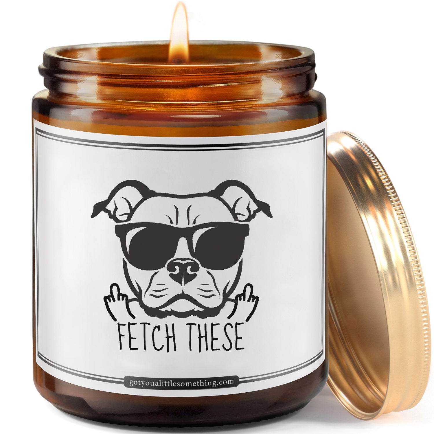 Fetch These - Pitbull